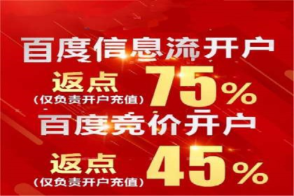 百度竞价代理技巧：经典成功案例解析